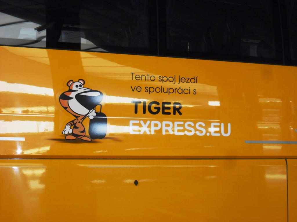 Logo TigerExpress