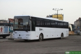 [GTV Bus Ozimek] #SK 613SC