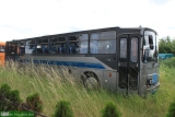 [DK Bus Legnica] #DL 34516